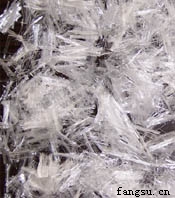 ������ά2